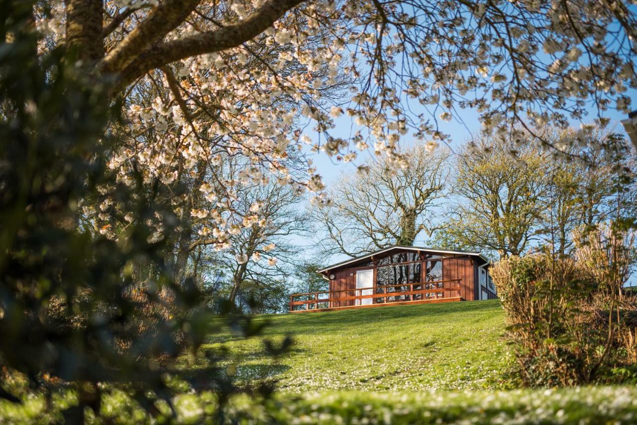 Timber Hill Self Catering Cedar Lodges Broad Haven Exteriér fotografie