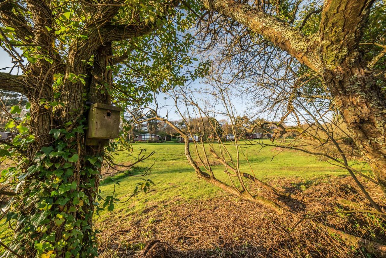 Timber Hill Self Catering Cedar Lodges Broad Haven Exteriér fotografie